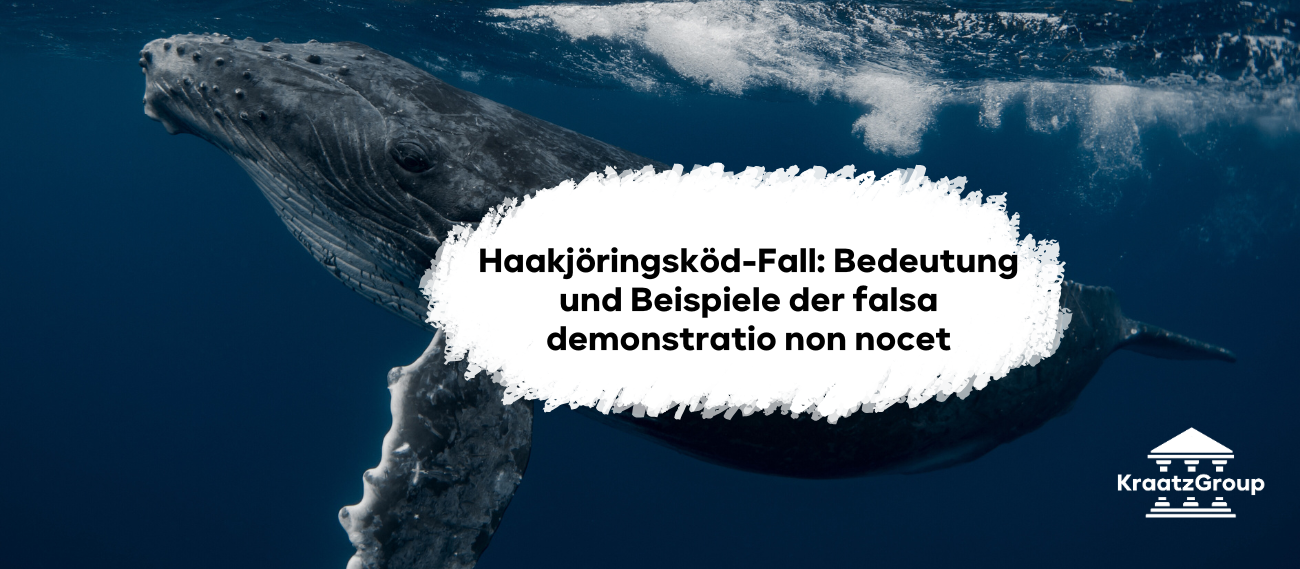Haakjöringsköd-Fall: Bedeutung und Beispiele der falsa demonstratio non nocet