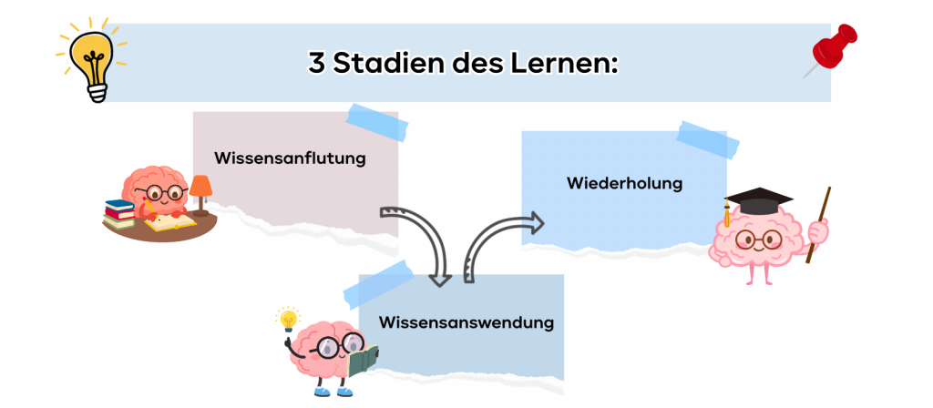 Wissensanflutung
Wissensanswendung
Wiederholung
