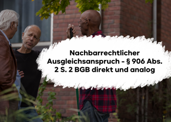 Der nachbarrechtliche Ausgleichsanspruch nach § 906 Abs. 2 S. 2 BGB direkt und analog